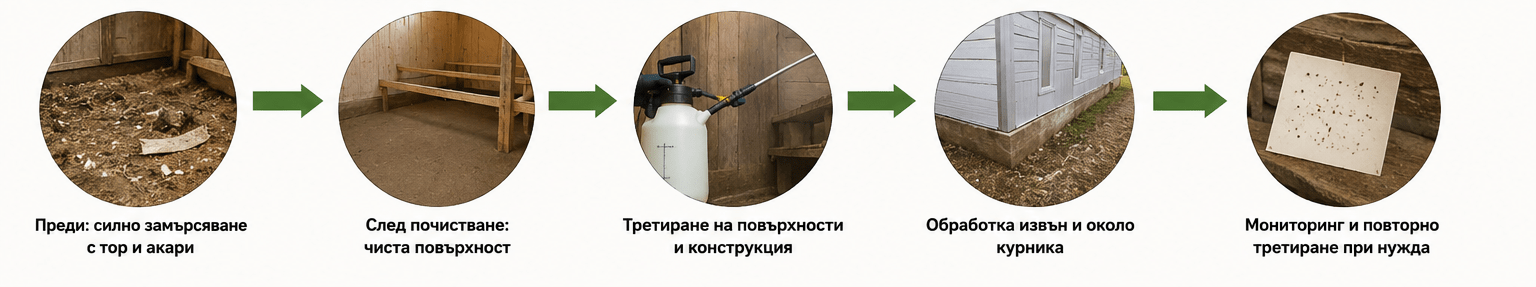 Илюстрация на борба с кокошинки чрез почистване, третиране на кокошарника и мониторинг на акарите.